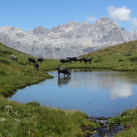 Hostal Puente Deva Espinama Dış mekan fotoğraf