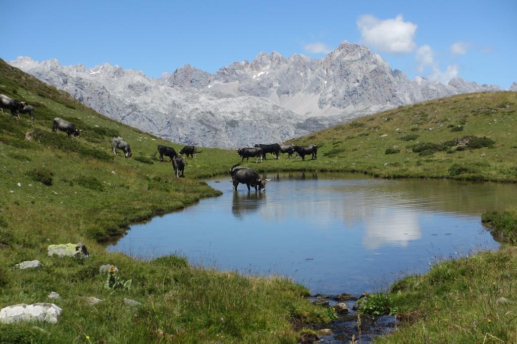 Hostal Puente Deva Espinama Dış mekan fotoğraf